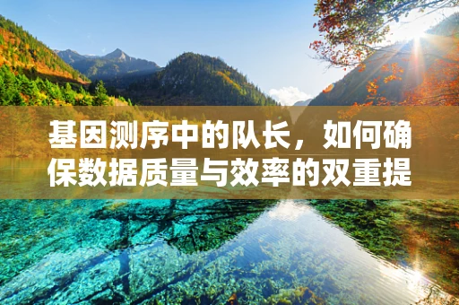 基因测序中的队长，如何确保数据质量与效率的双重提升？