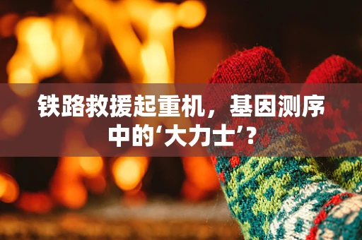 铁路救援起重机，基因测序中的‘大力士’？