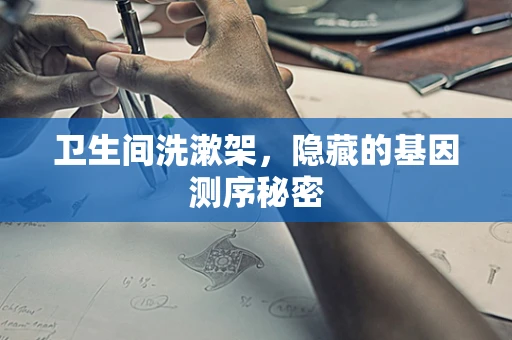 卫生间洗漱架，隐藏的基因测序秘密
