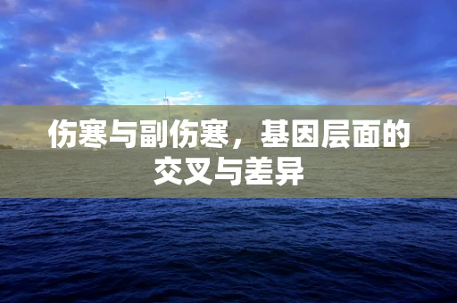 伤寒与副伤寒，基因层面的交叉与差异