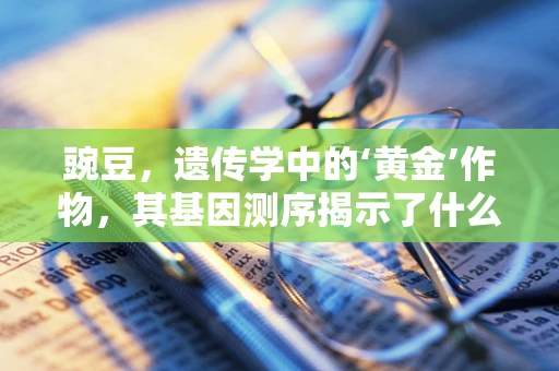 豌豆，遗传学中的‘黄金’作物，其基因测序揭示了什么？