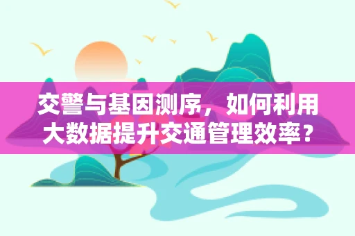 交警与基因测序，如何利用大数据提升交通管理效率？