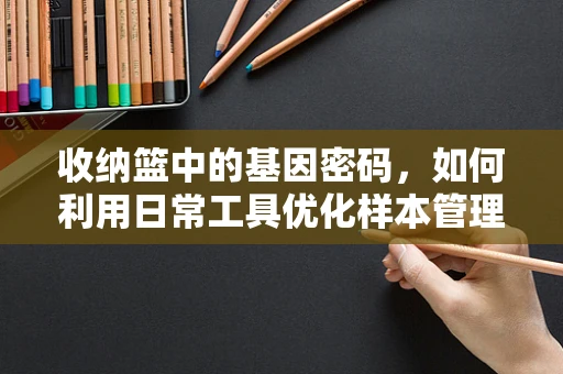 收纳篮中的基因密码，如何利用日常工具优化样本管理？