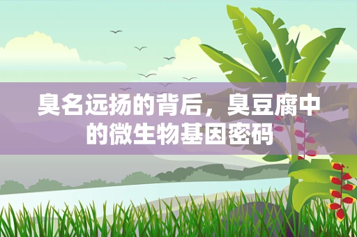 臭名远扬的背后，臭豆腐中的微生物基因密码