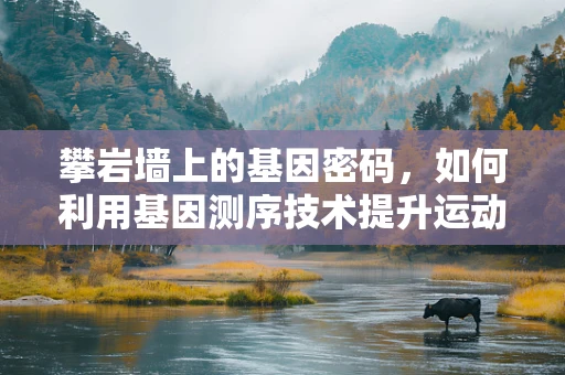 攀岩墙上的基因密码，如何利用基因测序技术提升运动员表现？