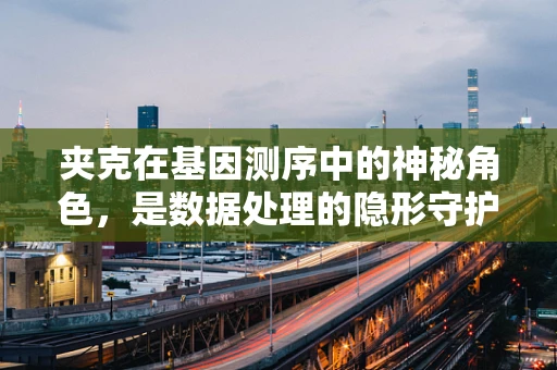 夹克在基因测序中的神秘角色，是数据处理的隐形守护者吗？