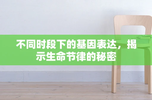 不同时段下的基因表达，揭示生命节律的秘密