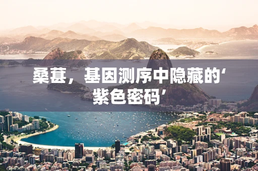 桑葚，基因测序中隐藏的‘紫色密码’