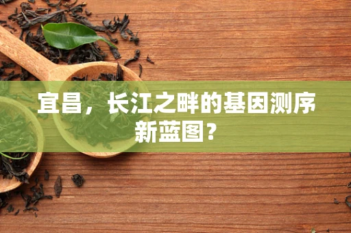 宜昌，长江之畔的基因测序新蓝图？