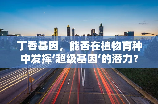 丁香基因，能否在植物育种中发挥‘超级基因’的潜力？