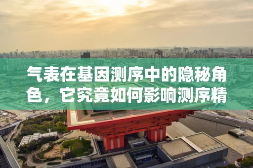 气表在基因测序中的隐秘角色，它究竟如何影响测序精度？