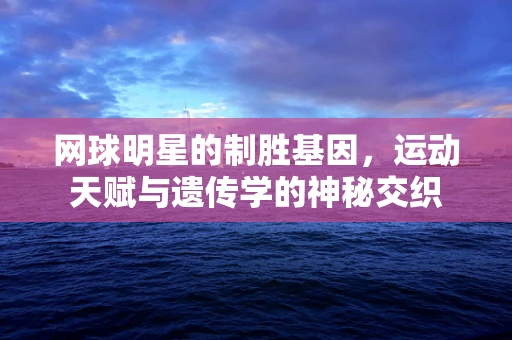网球明星的制胜基因，运动天赋与遗传学的神秘交织