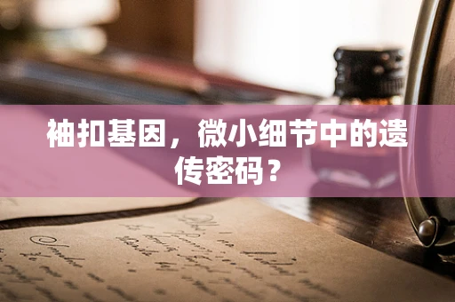 袖扣基因，微小细节中的遗传密码？