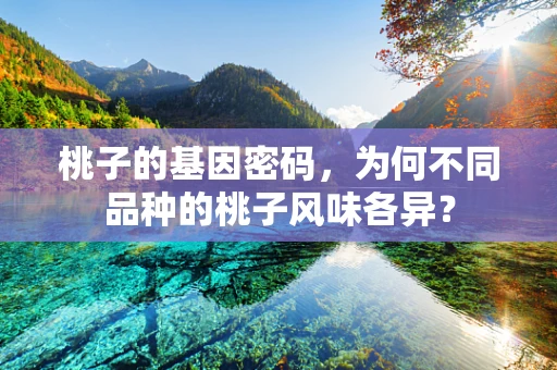 桃子的基因密码，为何不同品种的桃子风味各异？