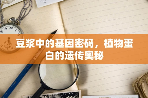 豆浆中的基因密码，植物蛋白的遗传奥秘