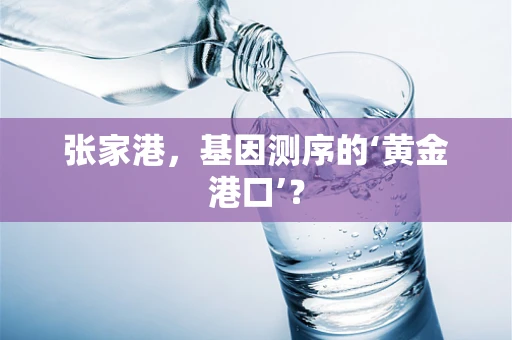 张家港，基因测序的‘黄金港口’？