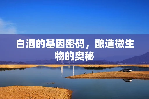 白酒的基因密码，酿造微生物的奥秘