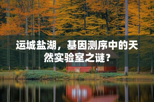 运城盐湖，基因测序中的天然实验室之谜？