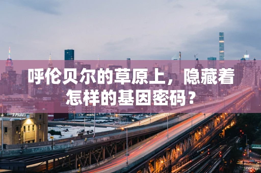 呼伦贝尔的草原上，隐藏着怎样的基因密码？