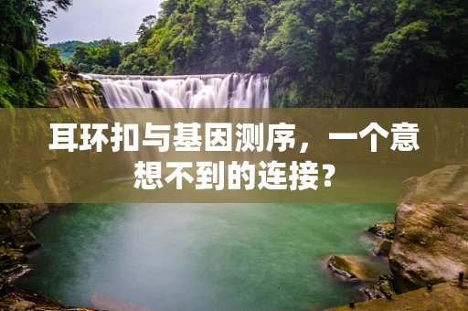 耳环扣与基因测序，一个意想不到的连接？