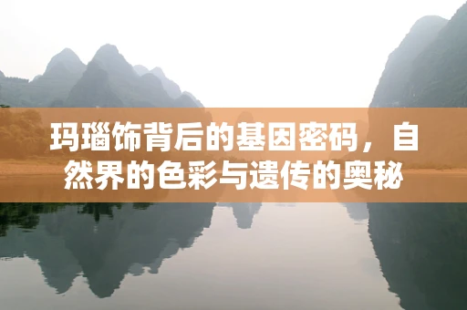 玛瑙饰背后的基因密码，自然界的色彩与遗传的奥秘