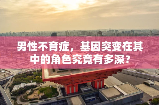 男性不育症，基因突变在其中的角色究竟有多深？