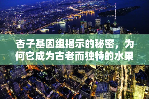 杏子基因组揭示的秘密，为何它成为古老而独特的水果？