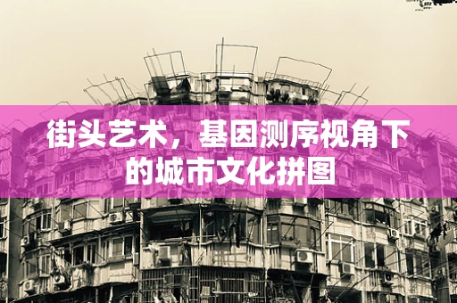 街头艺术，基因测序视角下的城市文化拼图