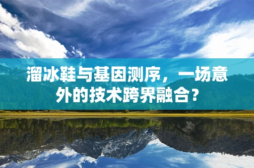 溜冰鞋与基因测序，一场意外的技术跨界融合？