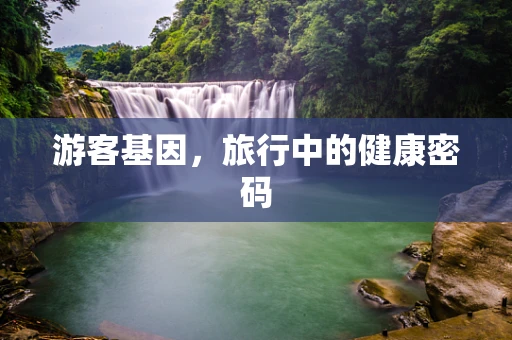 游客基因，旅行中的健康密码