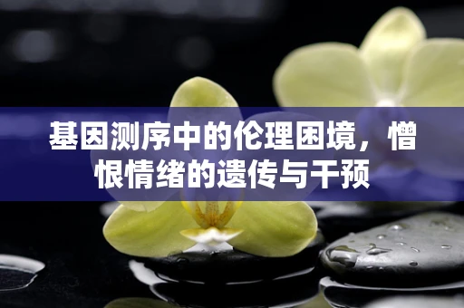 基因测序中的伦理困境，憎恨情绪的遗传与干预