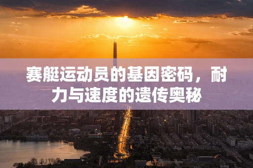 赛艇运动员的基因密码，耐力与速度的遗传奥秘