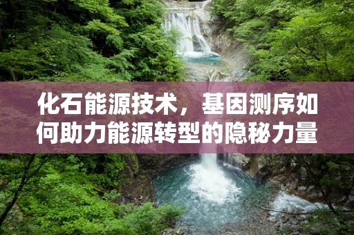 化石能源技术，基因测序如何助力能源转型的隐秘力量？