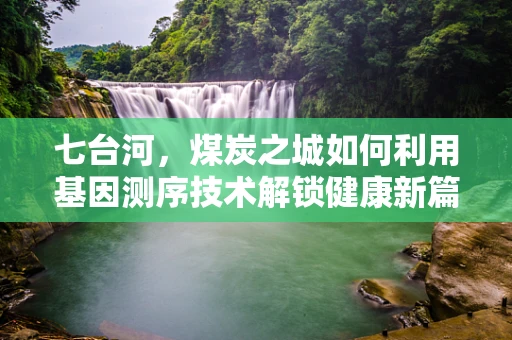 七台河，煤炭之城如何利用基因测序技术解锁健康新篇章？
