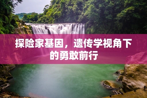 探险家基因，遗传学视角下的勇敢前行