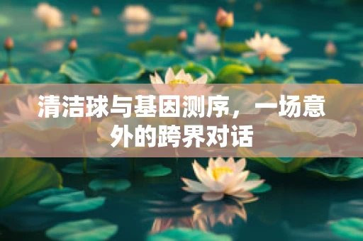 清洁球与基因测序，一场意外的跨界对话