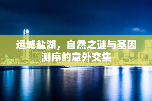 运城盐湖，自然之谜与基因测序的意外交集