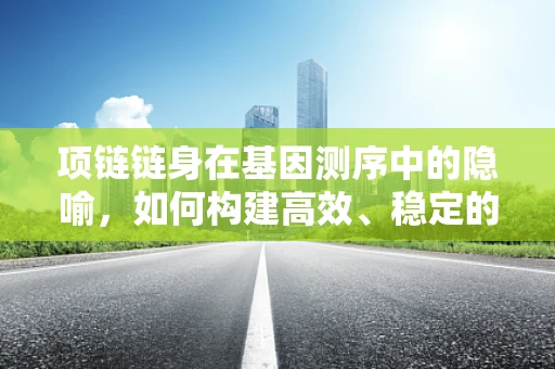 项链链身在基因测序中的隐喻，如何构建高效、稳定的测序数据链？