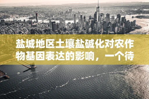盐城地区土壤盐碱化对农作物基因表达的影响，一个待解的基因密码？