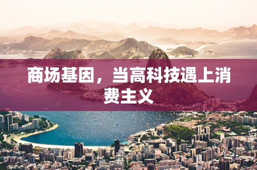商场基因，当高科技遇上消费主义