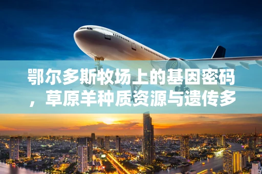 鄂尔多斯牧场上的基因密码，草原羊种质资源与遗传多样性之谜