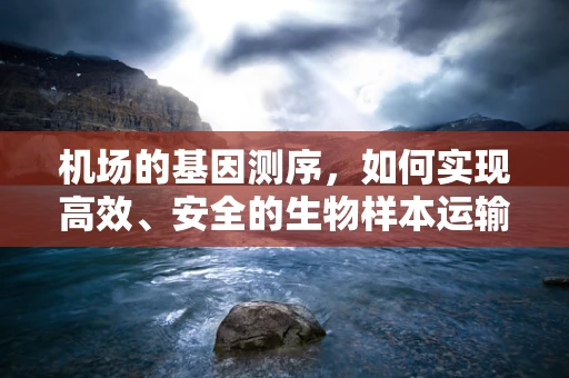 机场的基因测序，如何实现高效、安全的生物样本运输？