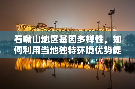 石嘴山地区基因多样性，如何利用当地独特环境优势促进精准医疗发展？