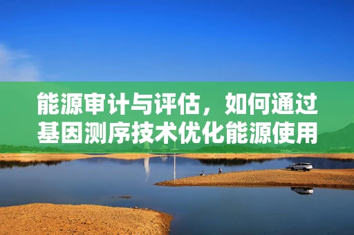 能源审计与评估，如何通过基因测序技术优化能源使用？