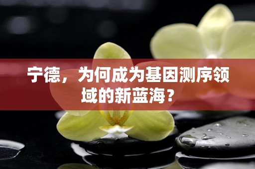 宁德，为何成为基因测序领域的新蓝海？