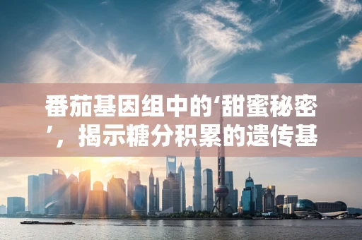 番茄基因组中的‘甜蜜秘密’，揭示糖分积累的遗传基础