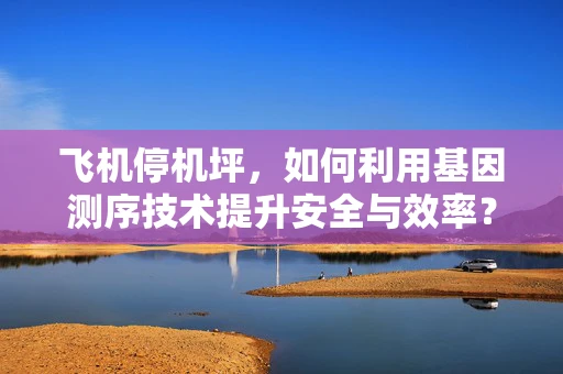 飞机停机坪，如何利用基因测序技术提升安全与效率？