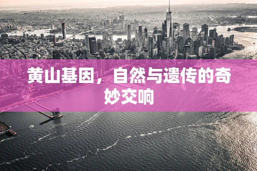 黄山基因，自然与遗传的奇妙交响