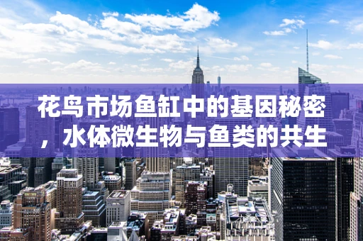 花鸟市场鱼缸中的基因秘密，水体微生物与鱼类的共生关系