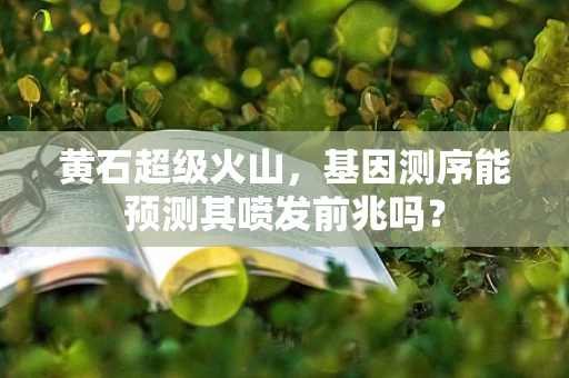 黄石超级火山，基因测序能预测其喷发前兆吗？